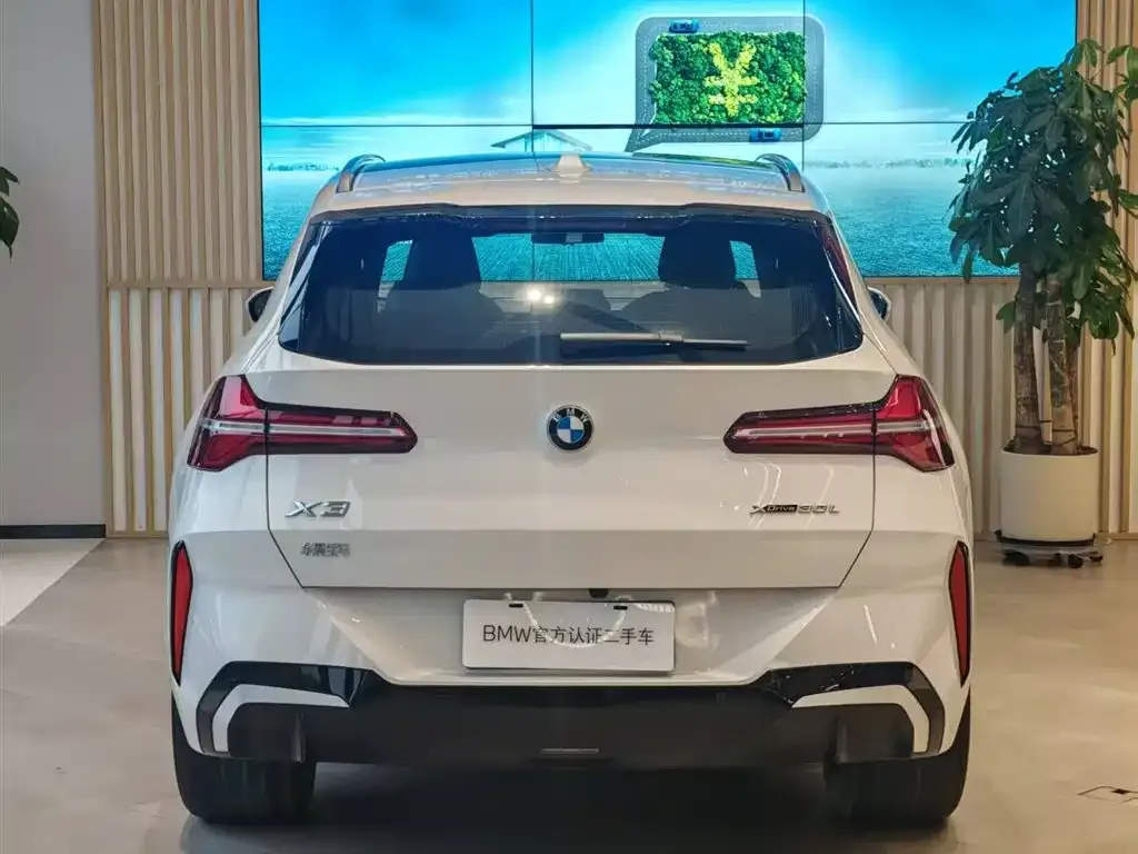BMW X3 2025 из CN, фото 8