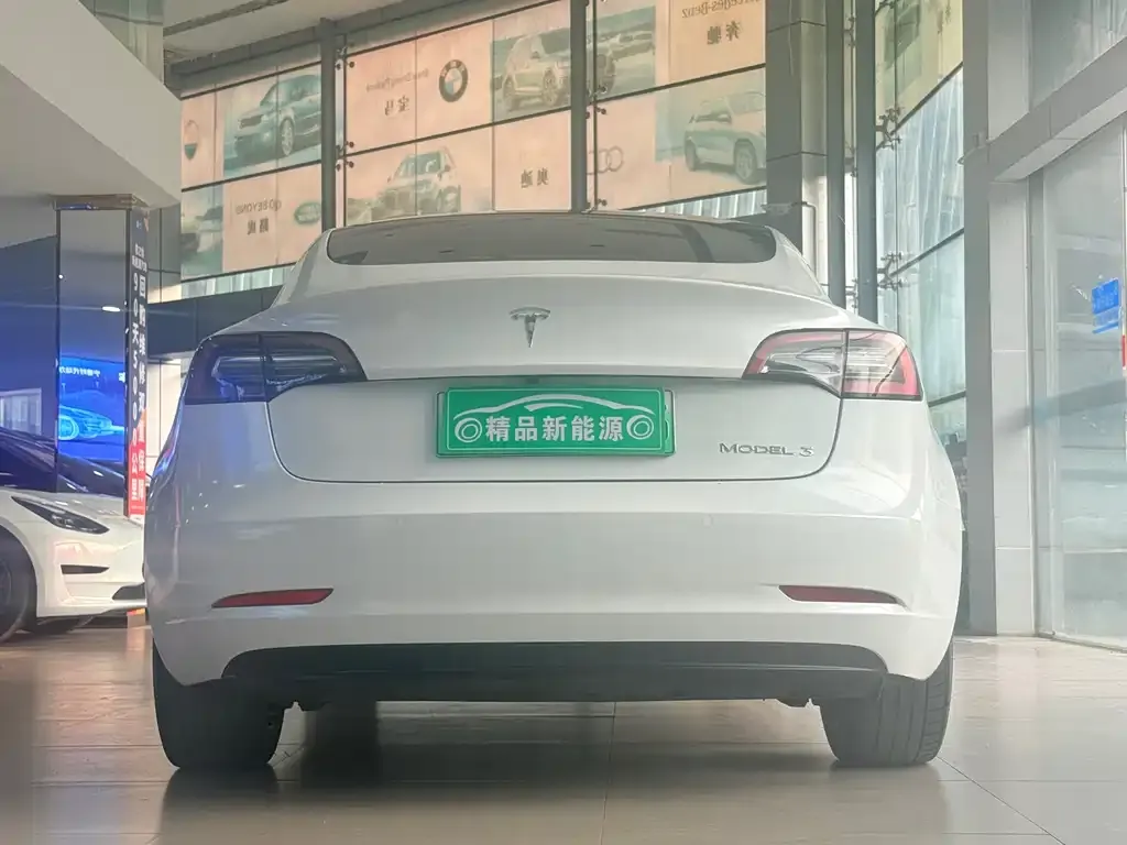 Tesla Model 3 2022 из CN, фото 5