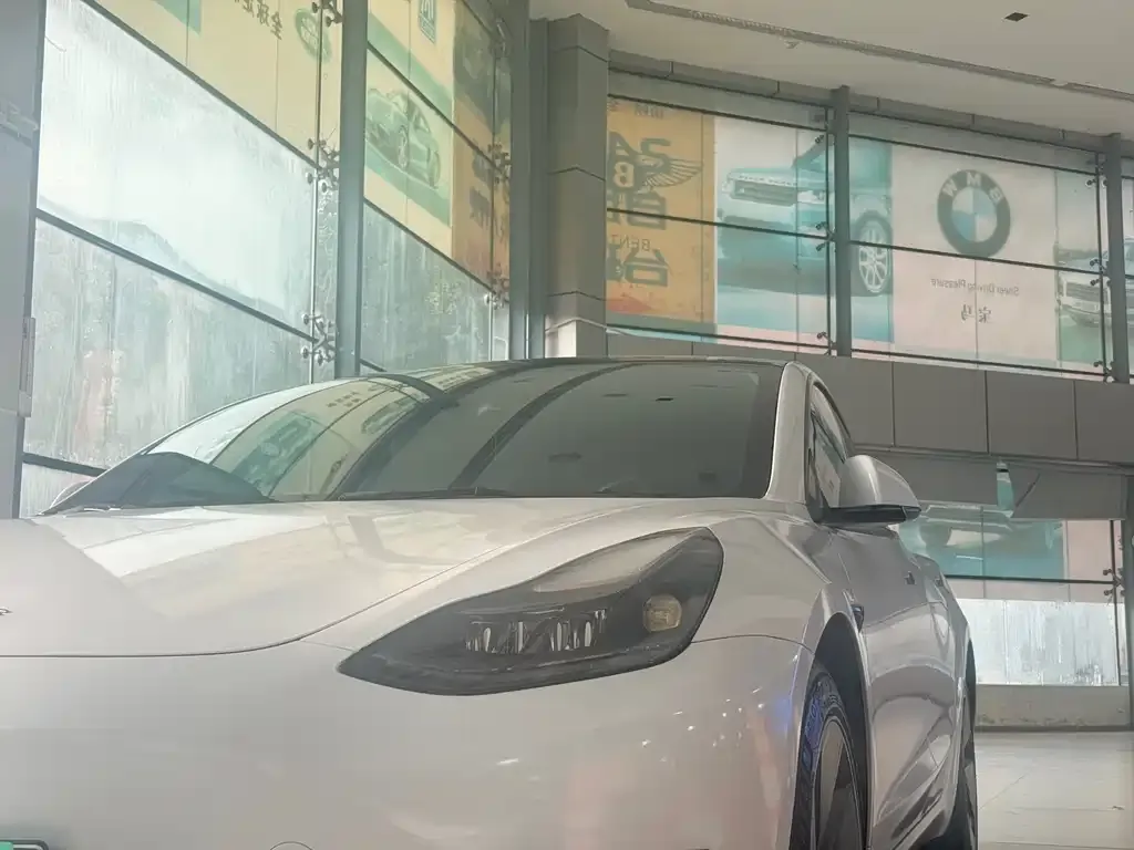 Tesla Model 3 2022 из CN, фото 7