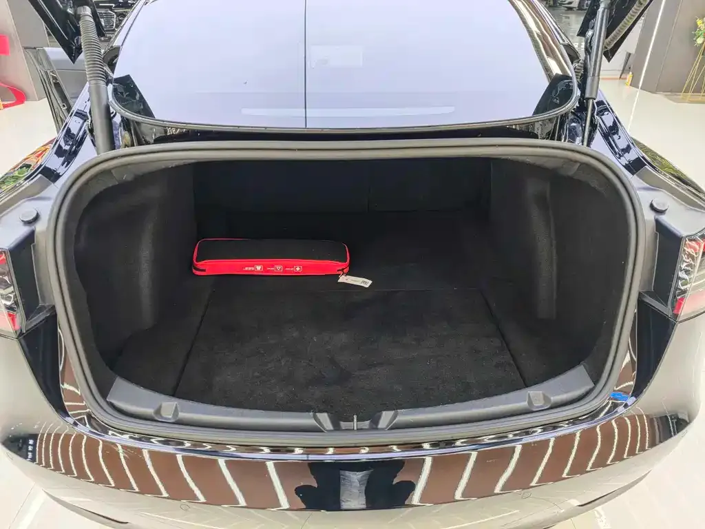 Tesla Model 3 2021 из CN, фото 10