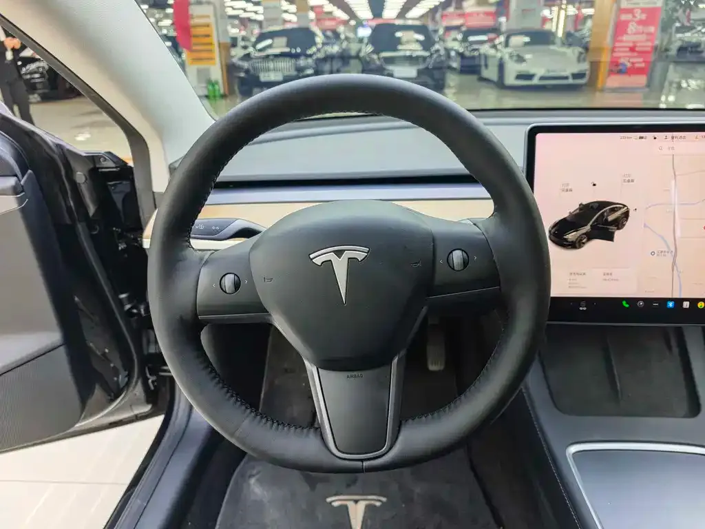 Tesla Model 3 2021 из CN, фото 5