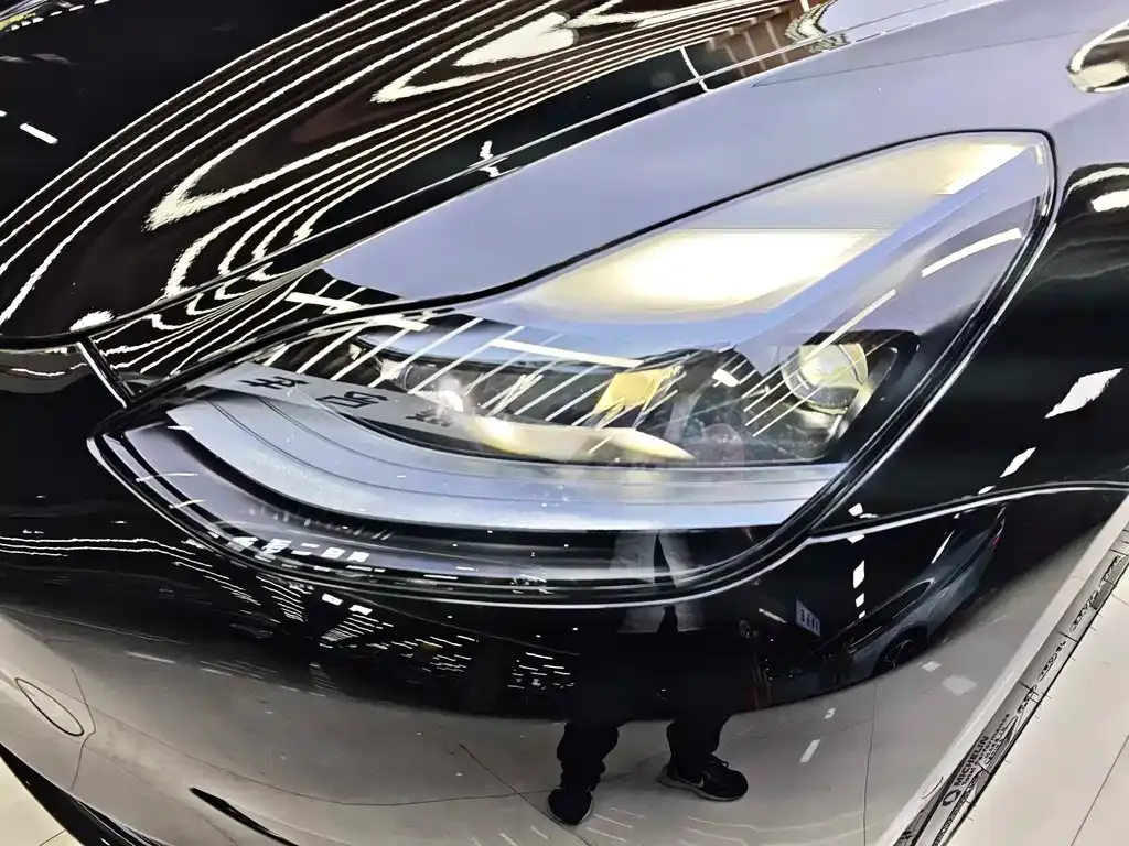 Tesla Model 3 2021 из CN, фото 6