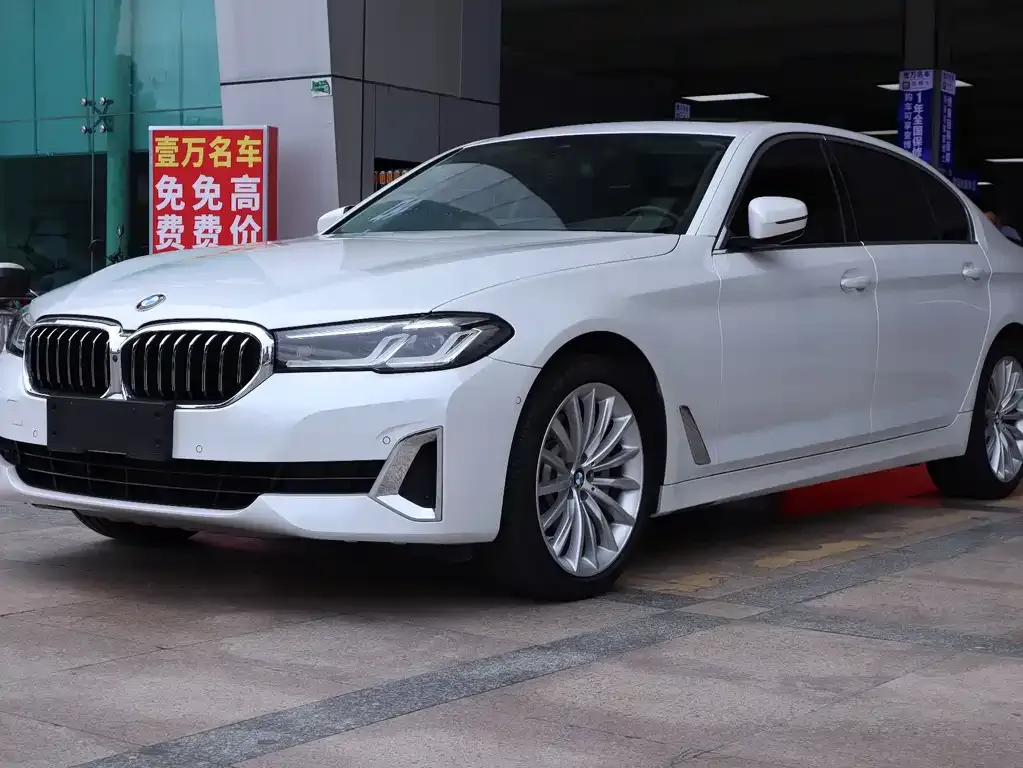 BMW 5 Series 2021 из CN, фото 1