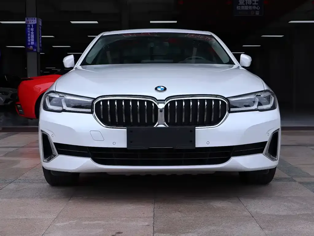 BMW 5 Series 2021 из CN, фото 2