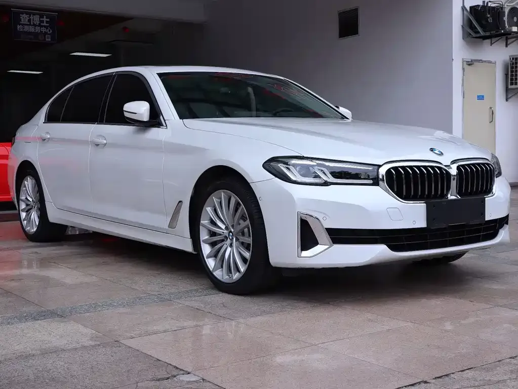 BMW 5 Series 2021 из CN, фото 3