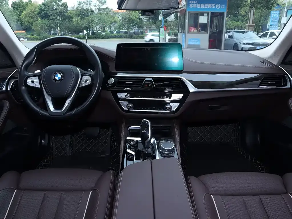 BMW 5 Series 2021 из CN, фото 4