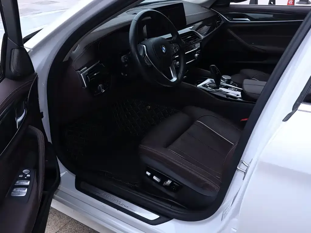 BMW 5 Series 2021 из CN, фото 8
