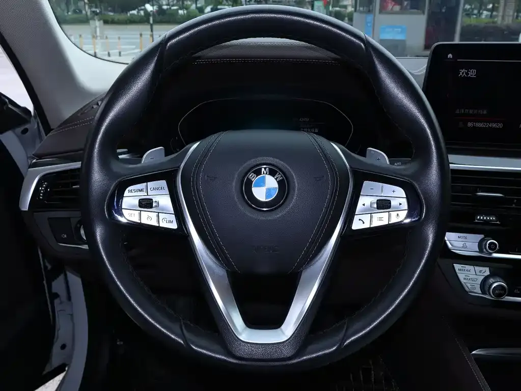 BMW 5 Series 2021 из CN, фото 9