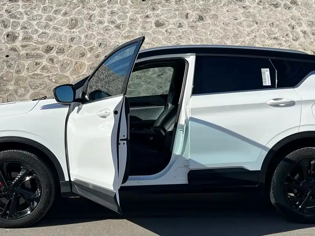 Geely Binyue 2023 из CN, фото 10