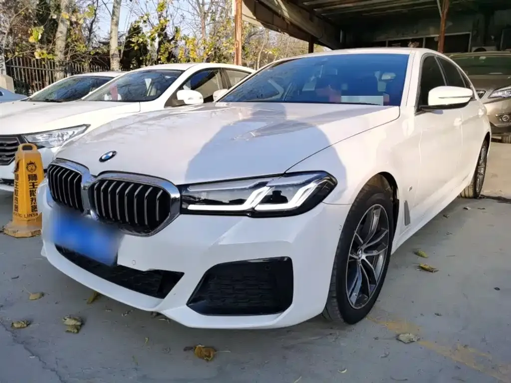 BMW 5 Series 2023 из CN, фото 2