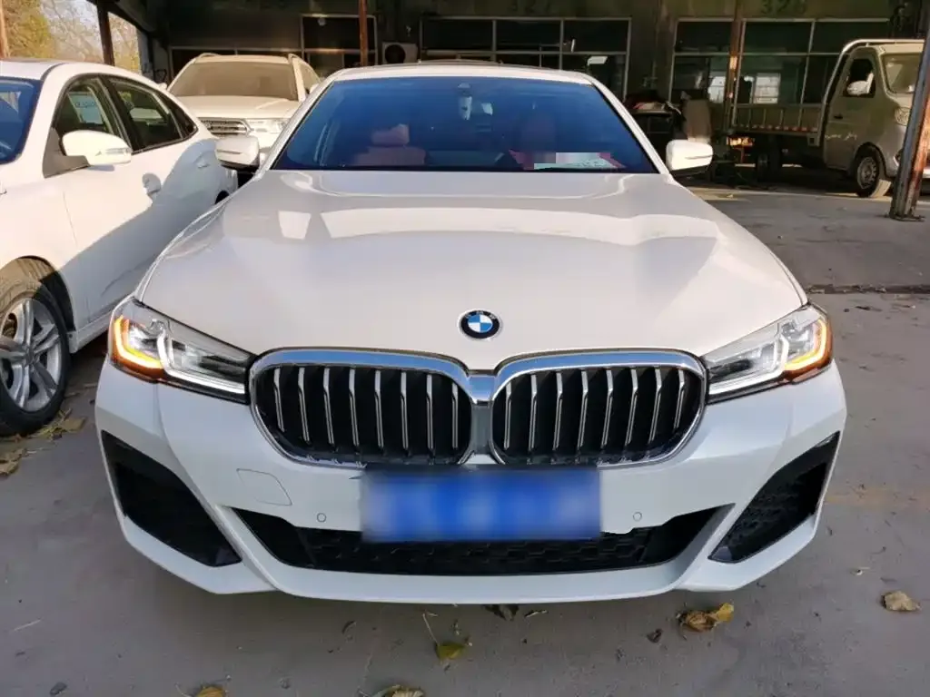 BMW 5 Series 2023 из CN, фото 3