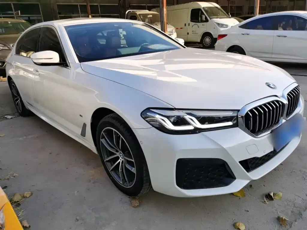 BMW 5 Series 2023 из CN, фото 4