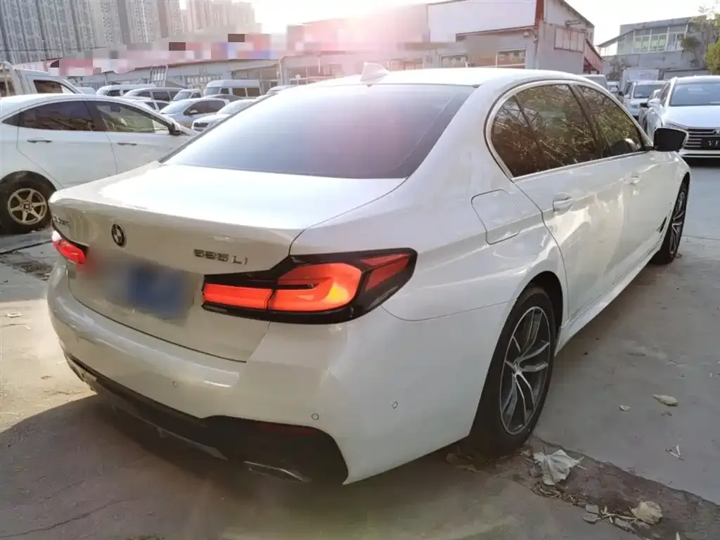 BMW 5 Series 2023 из CN, фото 7