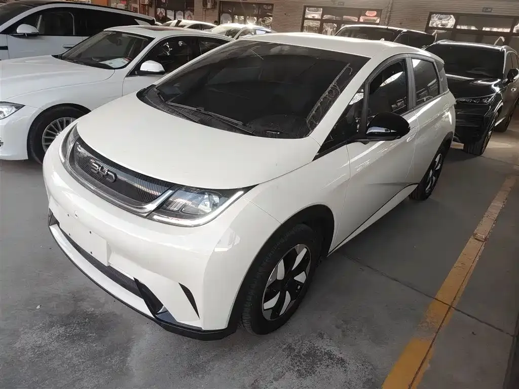 BYD Dolphin 2025 из CN, фото 2