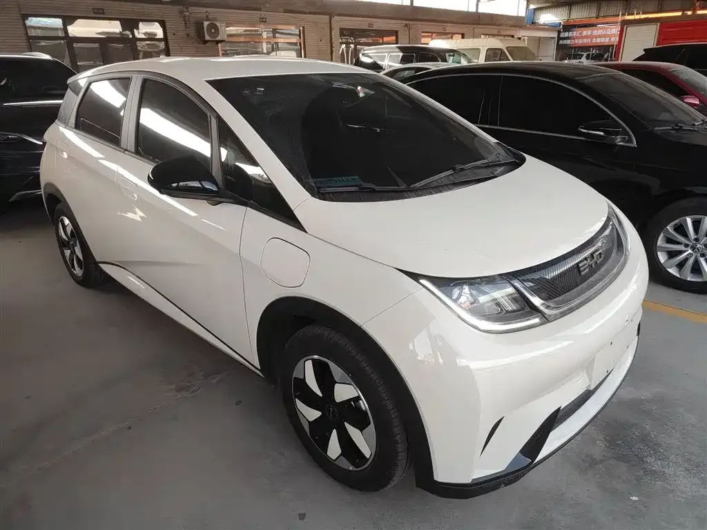 BYD Dolphin 2025 из CN, фото 4