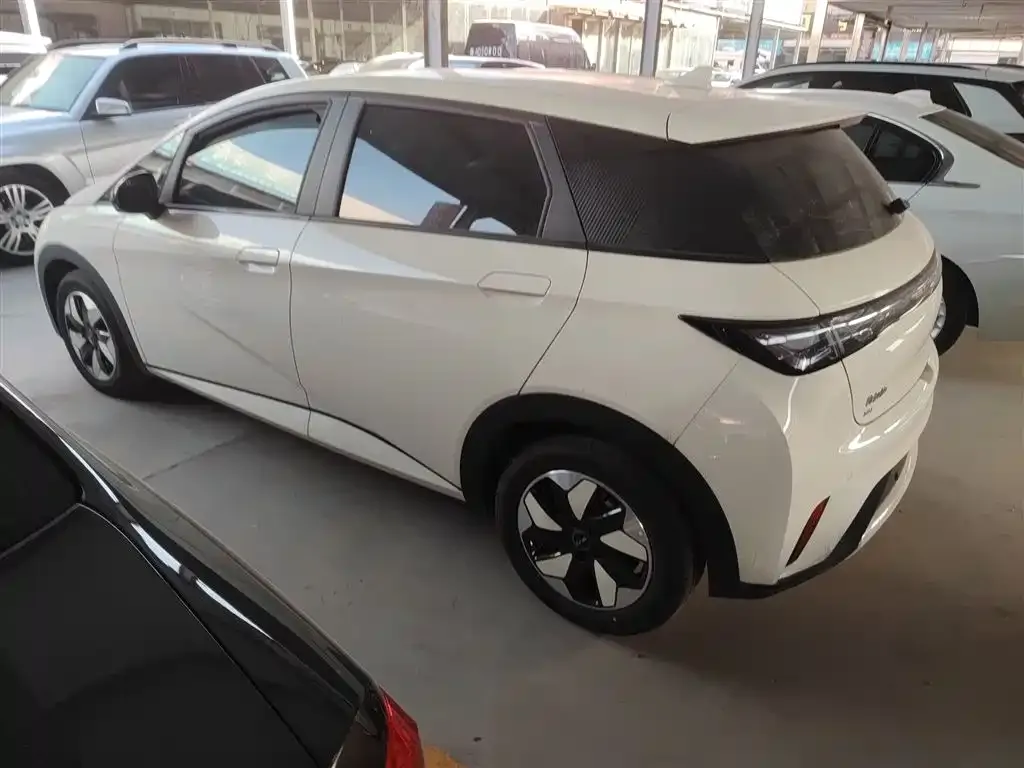 BYD Dolphin 2025 из CN, фото 5