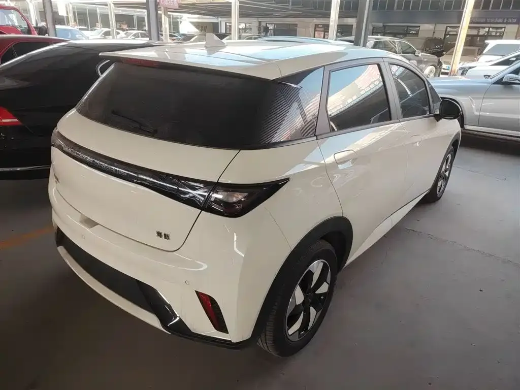 BYD Dolphin 2025 из CN, фото 7