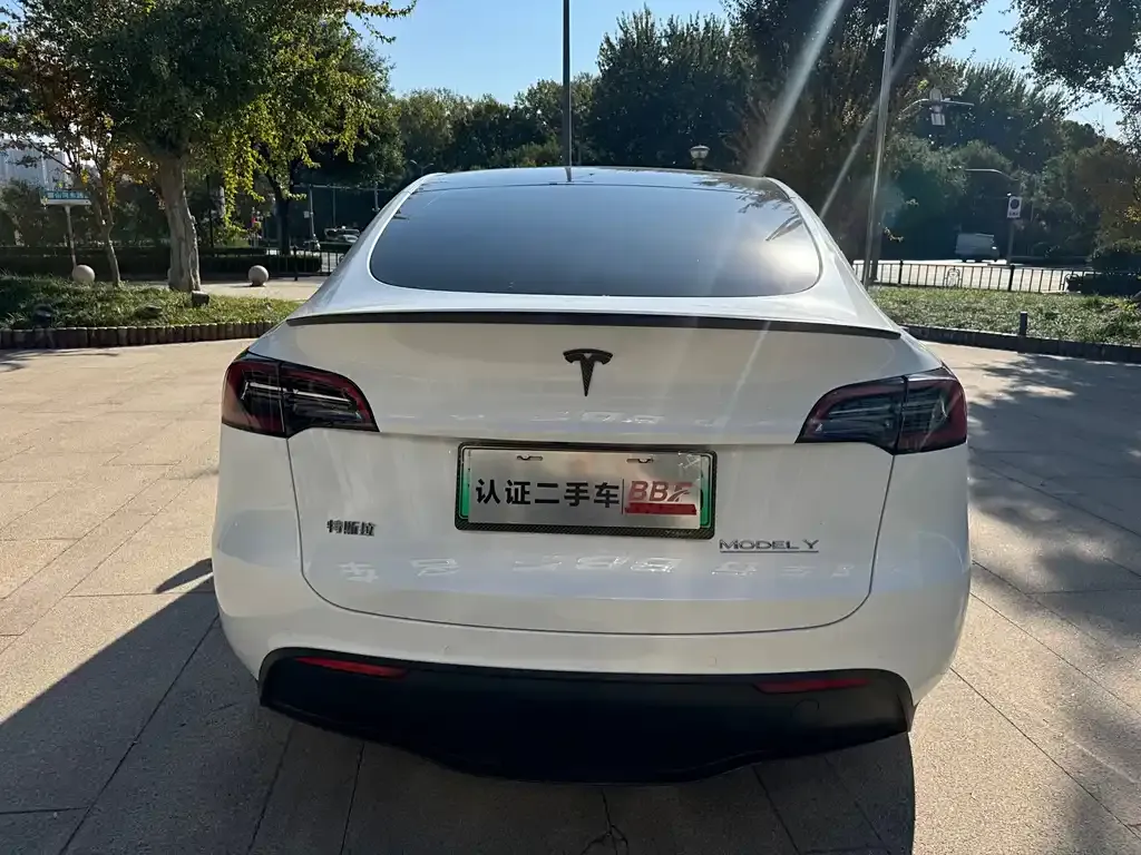 Tesla Model Y 2023 из CN, фото 6