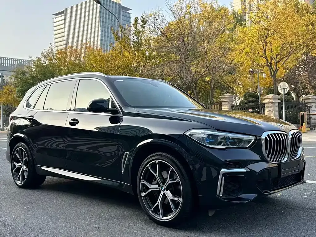 BMW X5 2023 из CN, фото 2