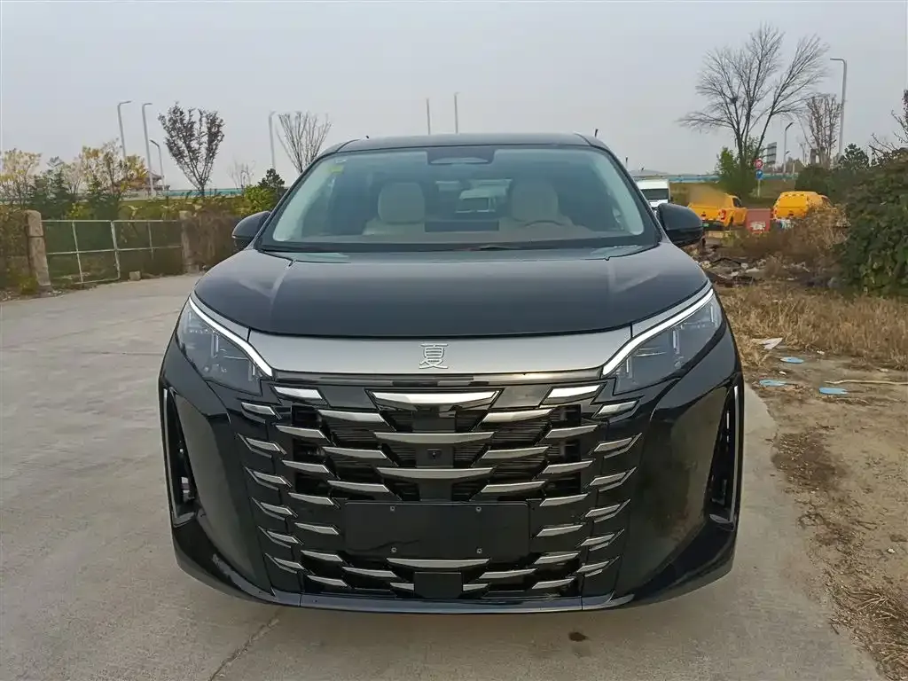 BYD Xia 2025 из CN, фото 3