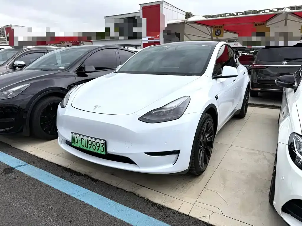 Tesla Model Y — фото 1