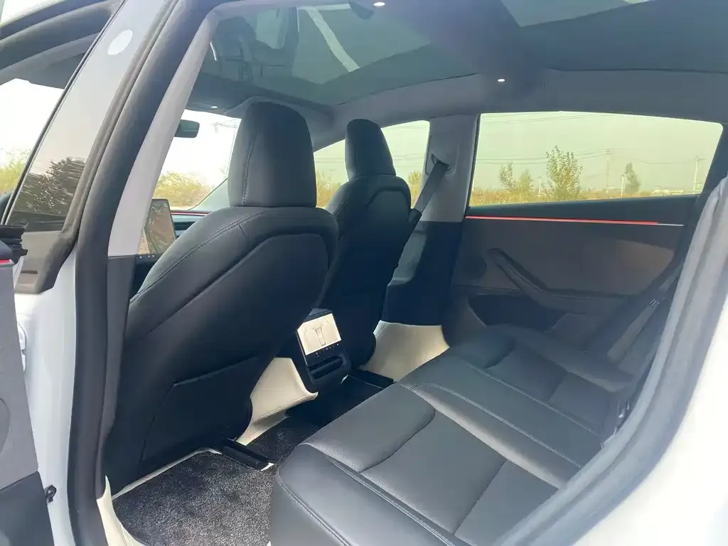 Tesla Model 3 2024 из CN, фото 6