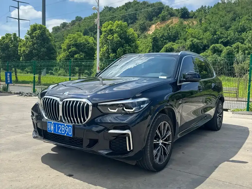 BMW X5 2022 из CN, фото 1