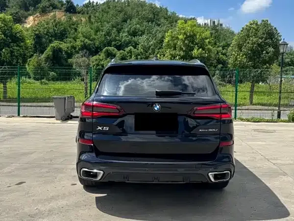 BMW X5 2022 из CN, фото 10