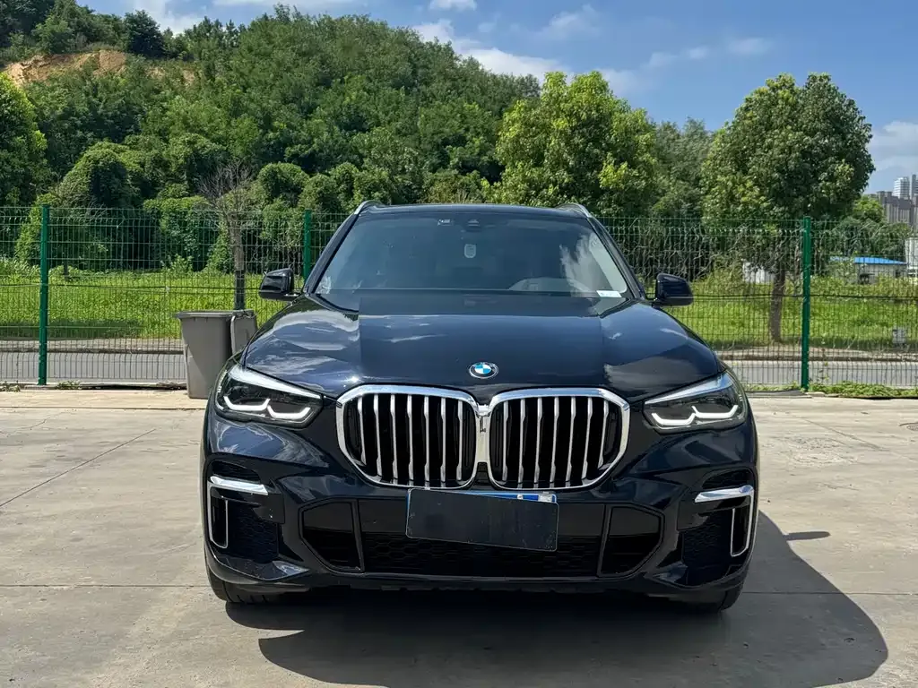 BMW X5 2022 из CN, фото 2