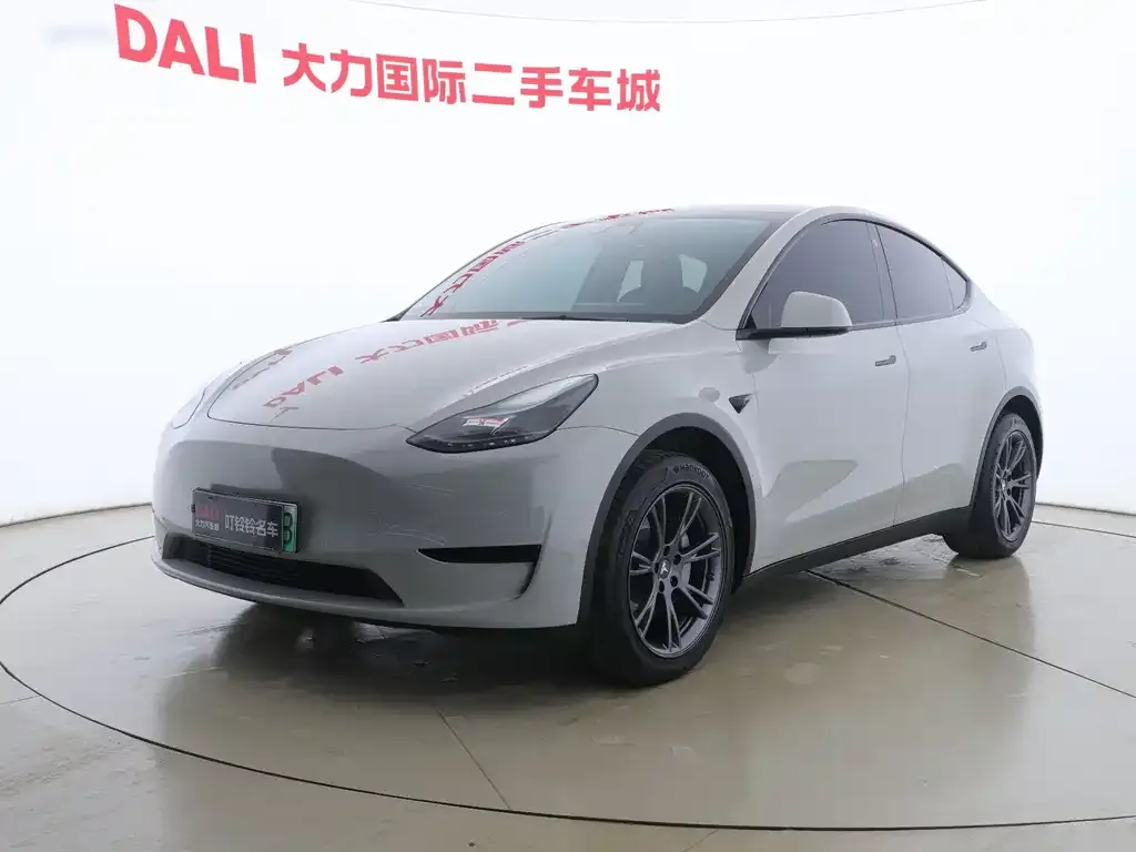 Tesla Model Y — фото 1