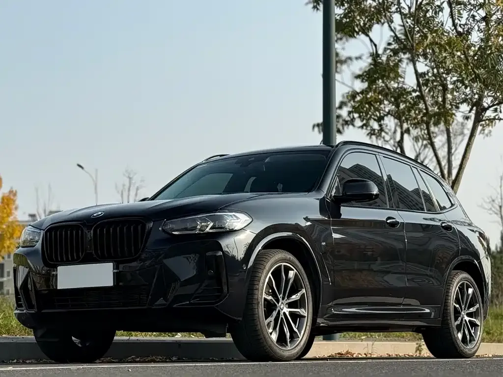 BMW X3 — фото 2