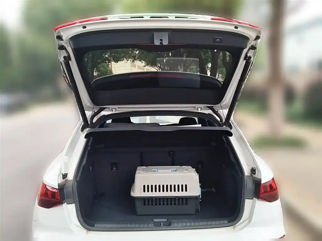 Audi A3 2022 из CN, фото 10