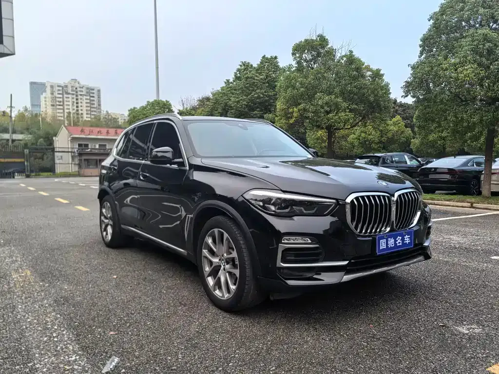 BMW X5 (Import) 2021 из CN, фото 2