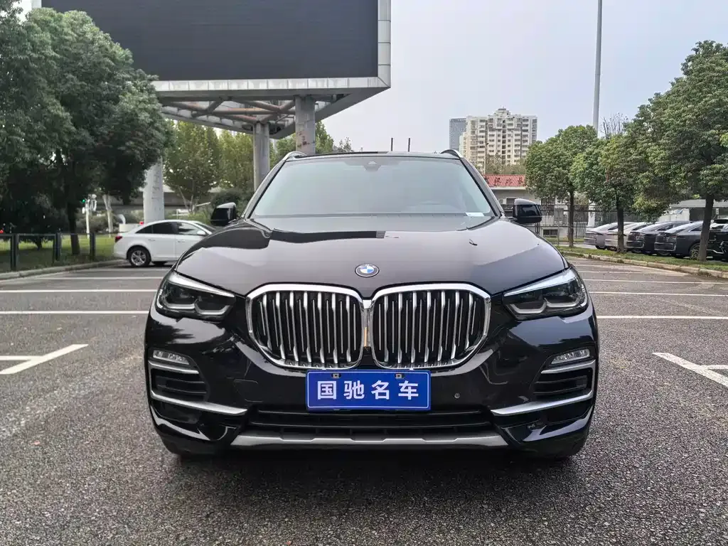BMW X5 (Import) 2021 из CN, фото 5