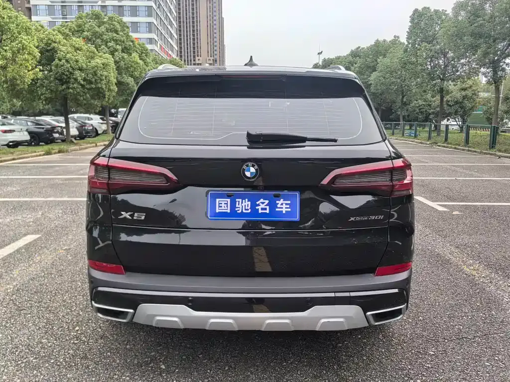 BMW X5 (Import) 2021 из CN, фото 8