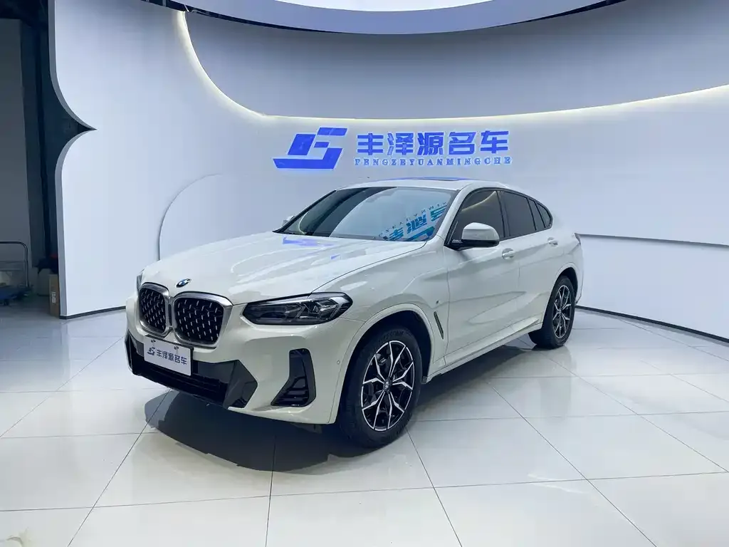 BMW X4 2022 из CN, фото 1