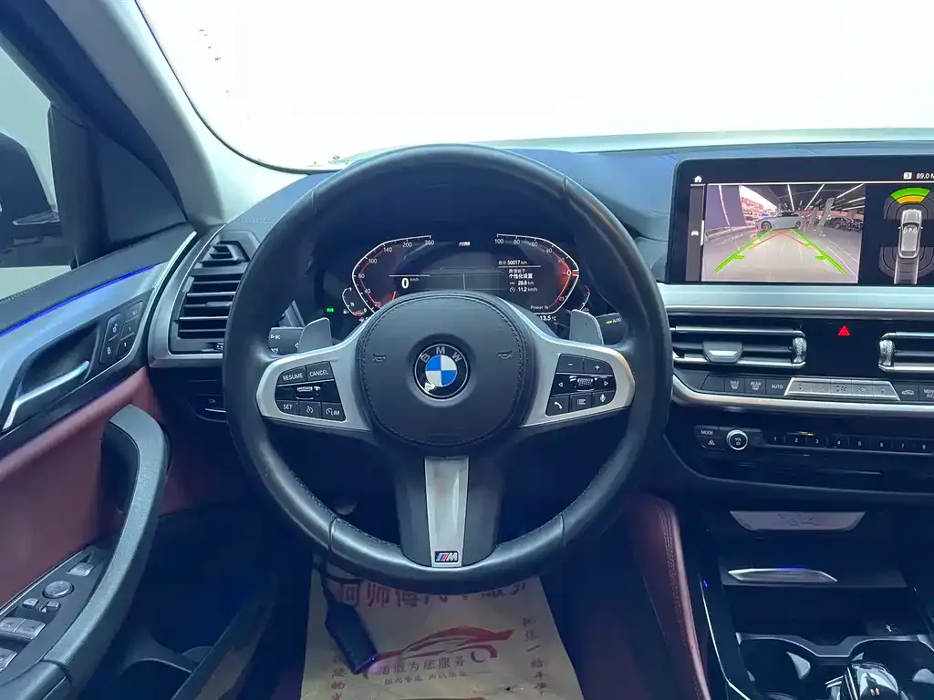 BMW X4 2022 из CN, фото 10