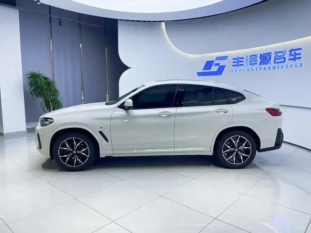 BMW X4 2022 из CN, фото 2