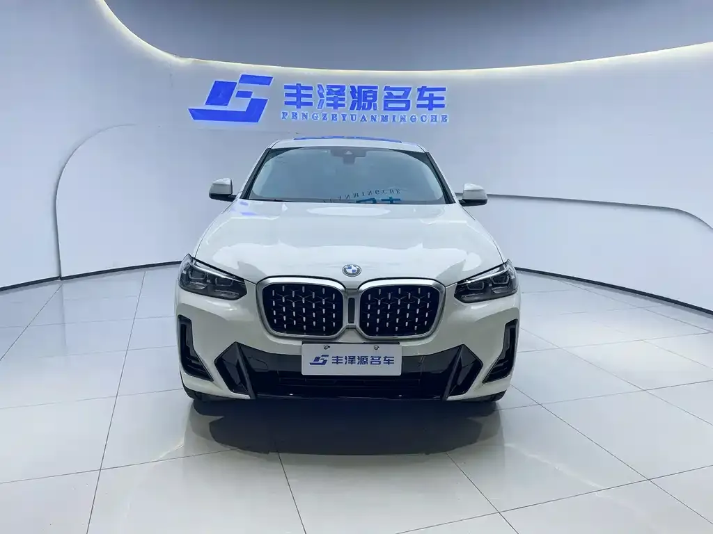 BMW X4 2022 из CN, фото 3
