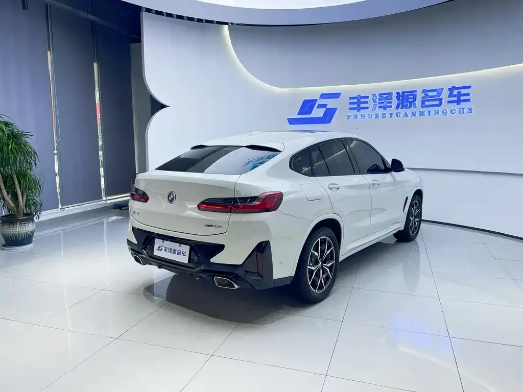BMW X4 2022 из CN, фото 4