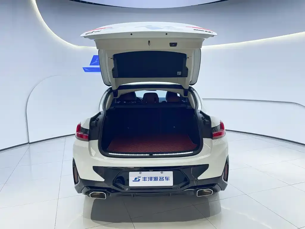 BMW X4 2022 из CN, фото 8