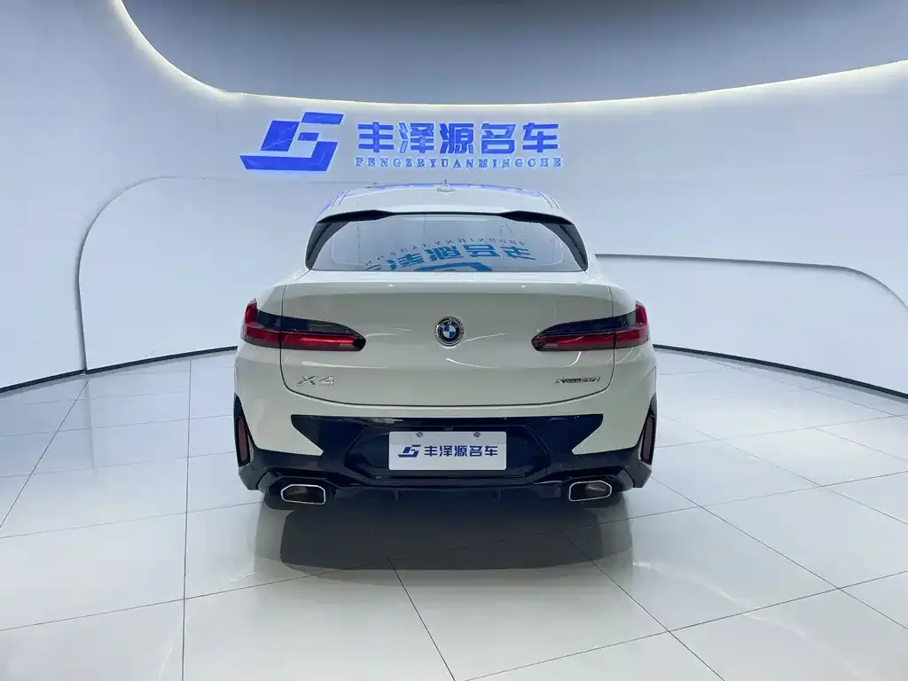 BMW X4 2022 из CN, фото 9