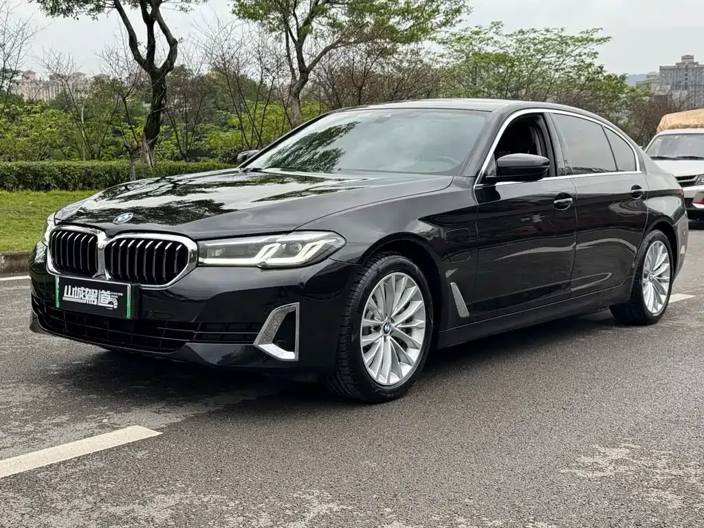 BMW 5 Series New Energy 2021 из CN, фото 1