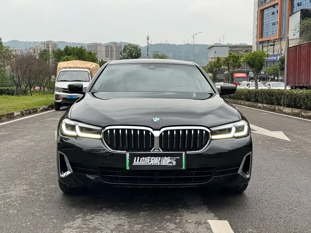 BMW 5 Series New Energy 2021 из CN, фото 3