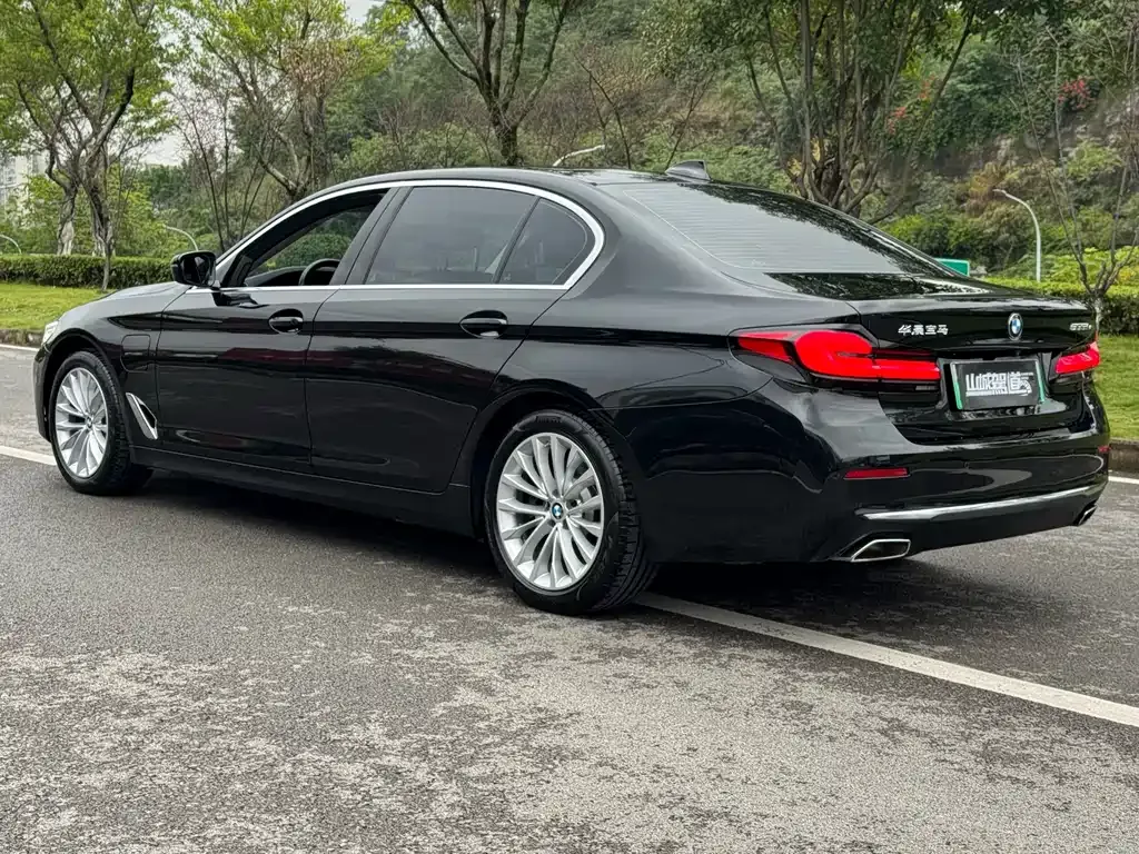 BMW 5 Series New Energy 2021 из CN, фото 6