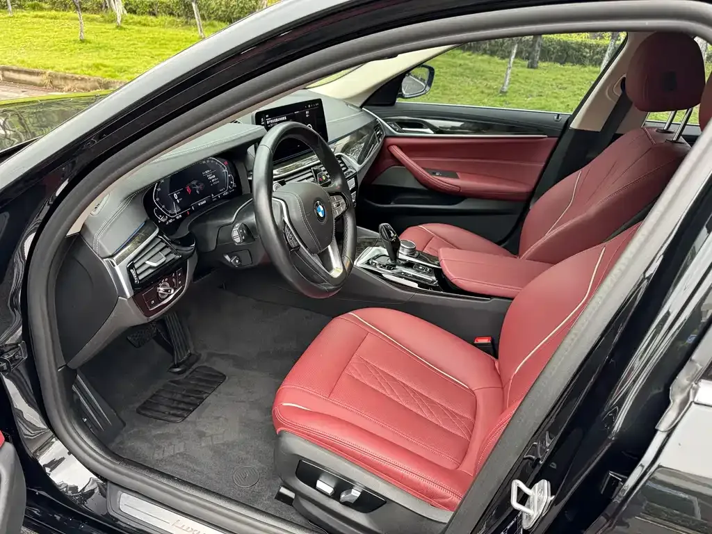 BMW 5 Series New Energy 2021 из CN, фото 7