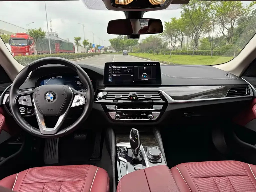 BMW 5 Series New Energy 2021 из CN, фото 8