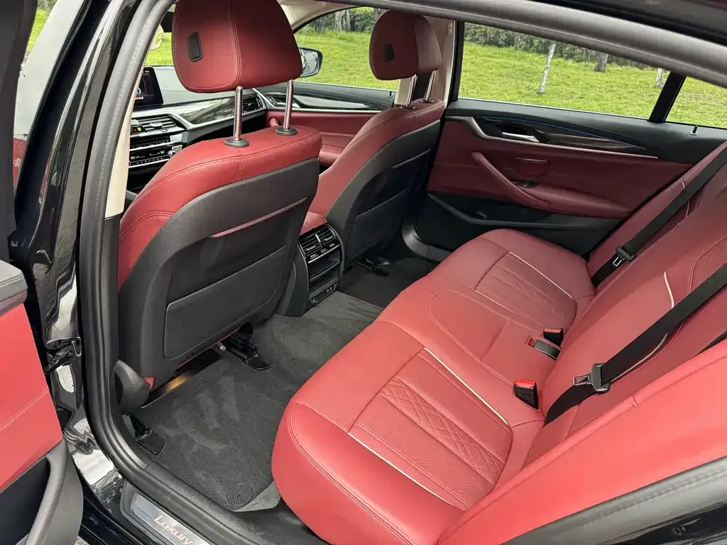 BMW 5 Series New Energy 2021 из CN, фото 9