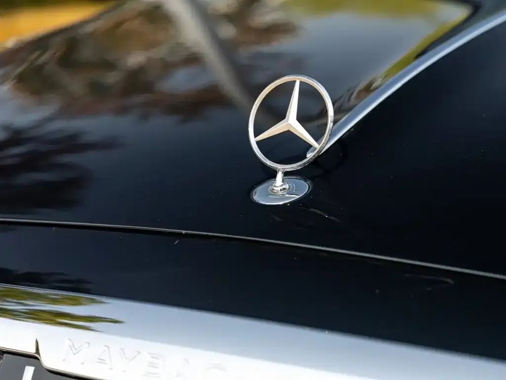 Mercedes-Benz S-Class 2023 из CN, фото 9
