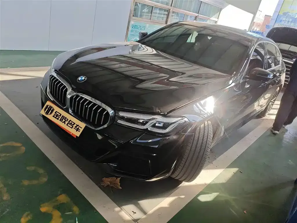 BMW 5 Series 2024 из CN, фото 1